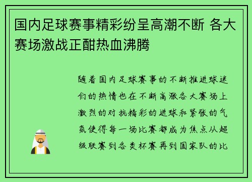国内足球赛事精彩纷呈高潮不断 各大赛场激战正酣热血沸腾