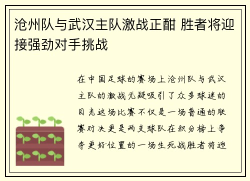 沧州队与武汉主队激战正酣 胜者将迎接强劲对手挑战