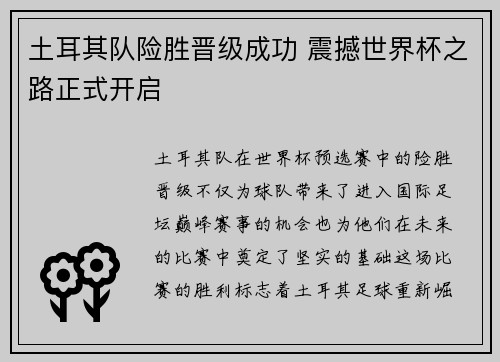 土耳其队险胜晋级成功 震撼世界杯之路正式开启